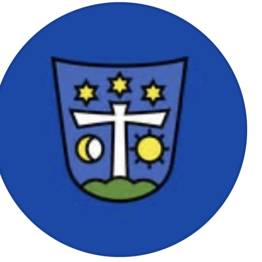 Logo oficial del Colegio Santa Cruz de Río Bueno
